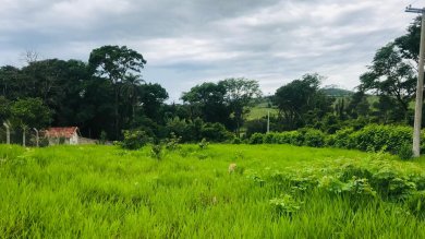 Santa Lourdes - Fundo com o Rio Pardo